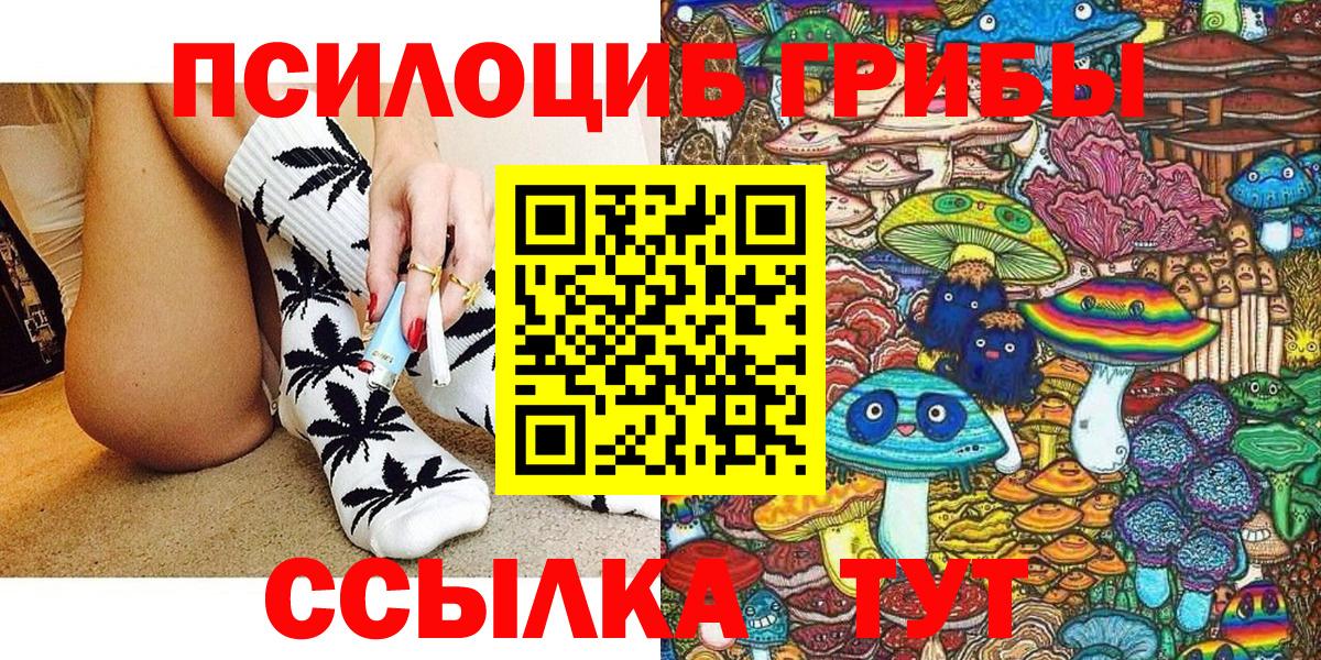 Галлюциногенные грибы Psilocybine cubensis Великие Луки
