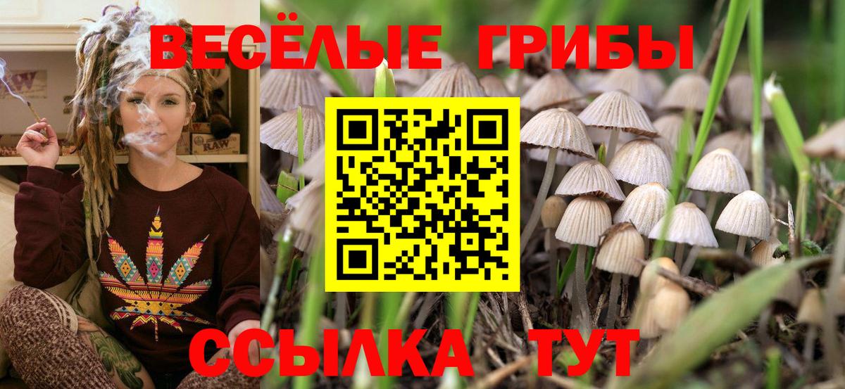 Псилоцибиновые грибы Psilocybe  Галлюциногенные грибы GOLDEN TEACHER  Великие Луки  Вход с VPN 